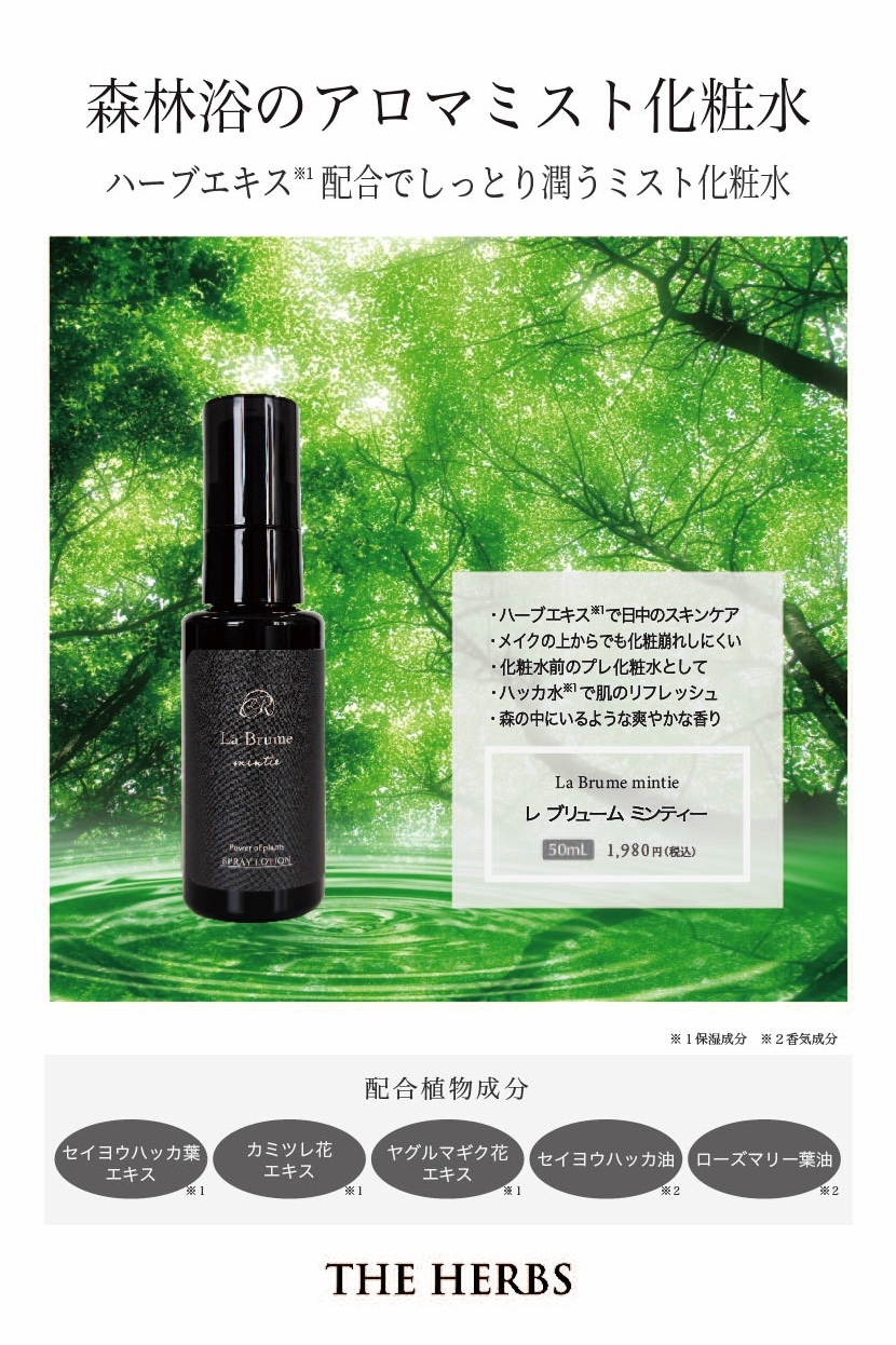 レブリューム　ミンティA5チラシ　12枚入り