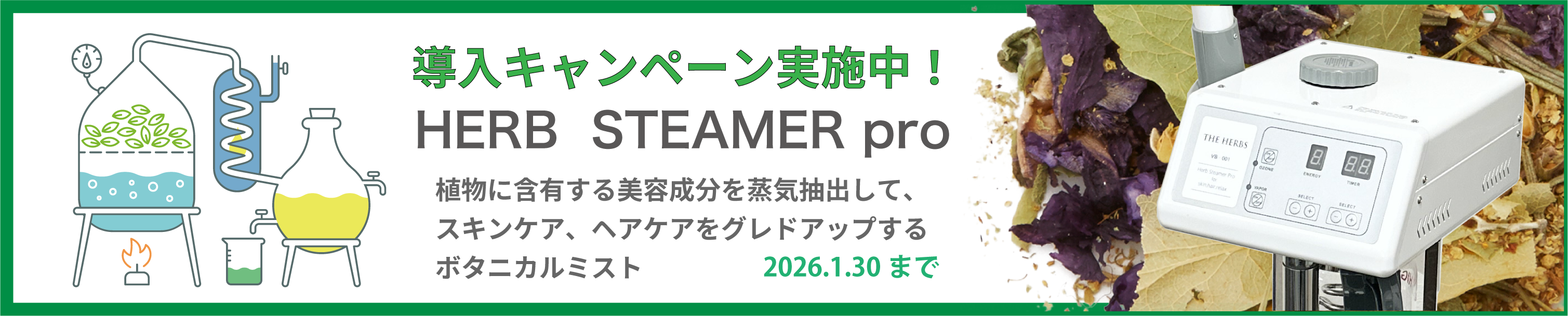 ハーブスチーマーキャンペーン